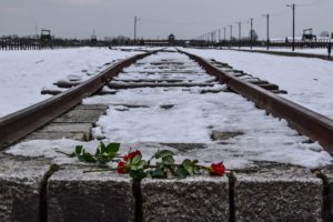 Auschwitz sínek hó