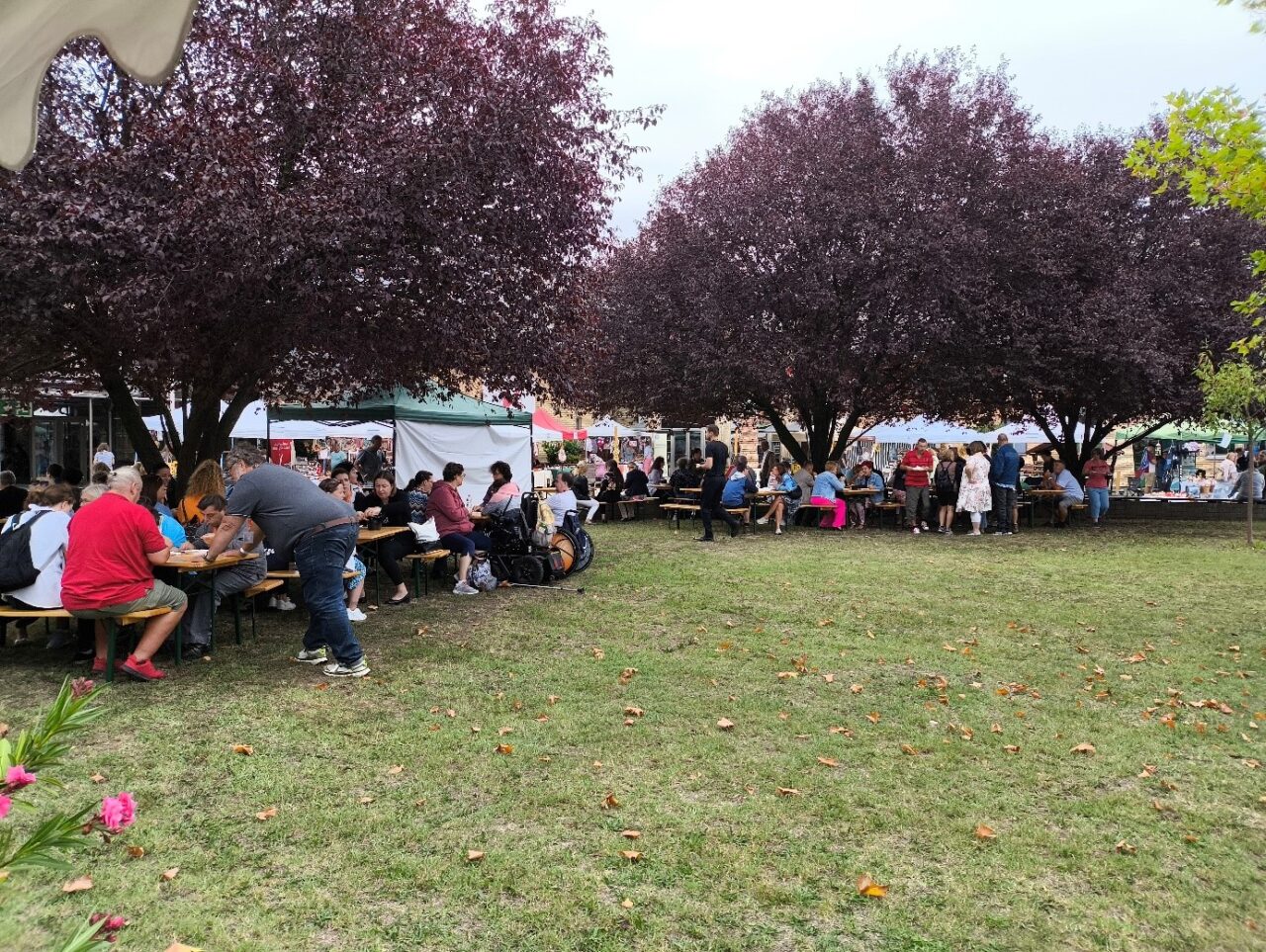 Szakmai megújulás a Fejlesztő foglalkoztatók III. Találkozóján 5