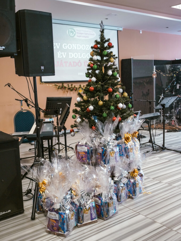 „Értékesek vagytok” – évzáró ünnepséget tartott a Segítő Szolgálat 83