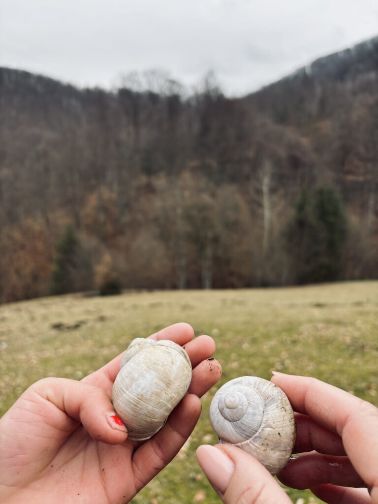 Négy kilométer egy marék tavaszért 2